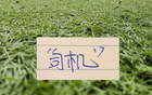 中超15轮下来，申花只是排第12名 但旧账不能算在“司机”身上